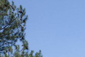Cheap Apartments In Sandy Springs Ga Cheap Apartments In Sandy Springs Ga